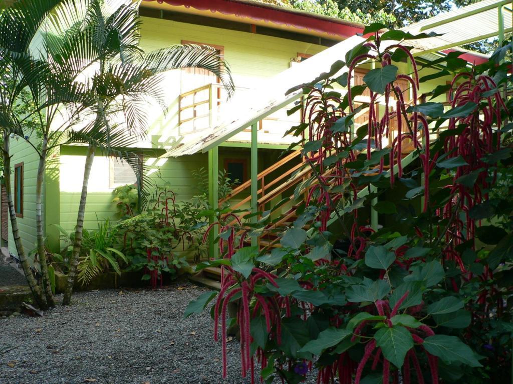 Blue Conga Hotel Puerto Viejo de Talamanca Exterior foto